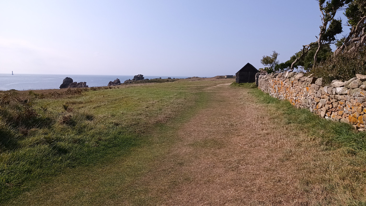 Le sentier d'herbe