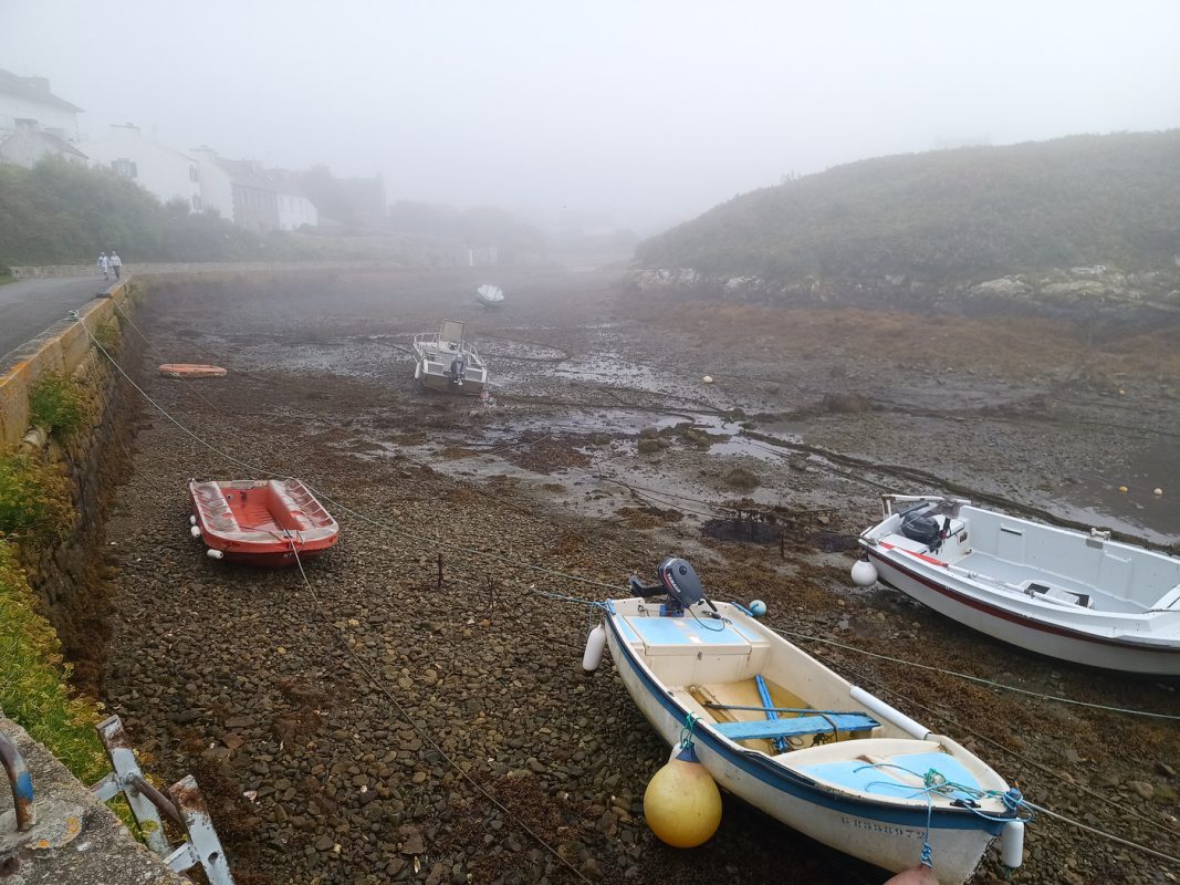 Brume le matin