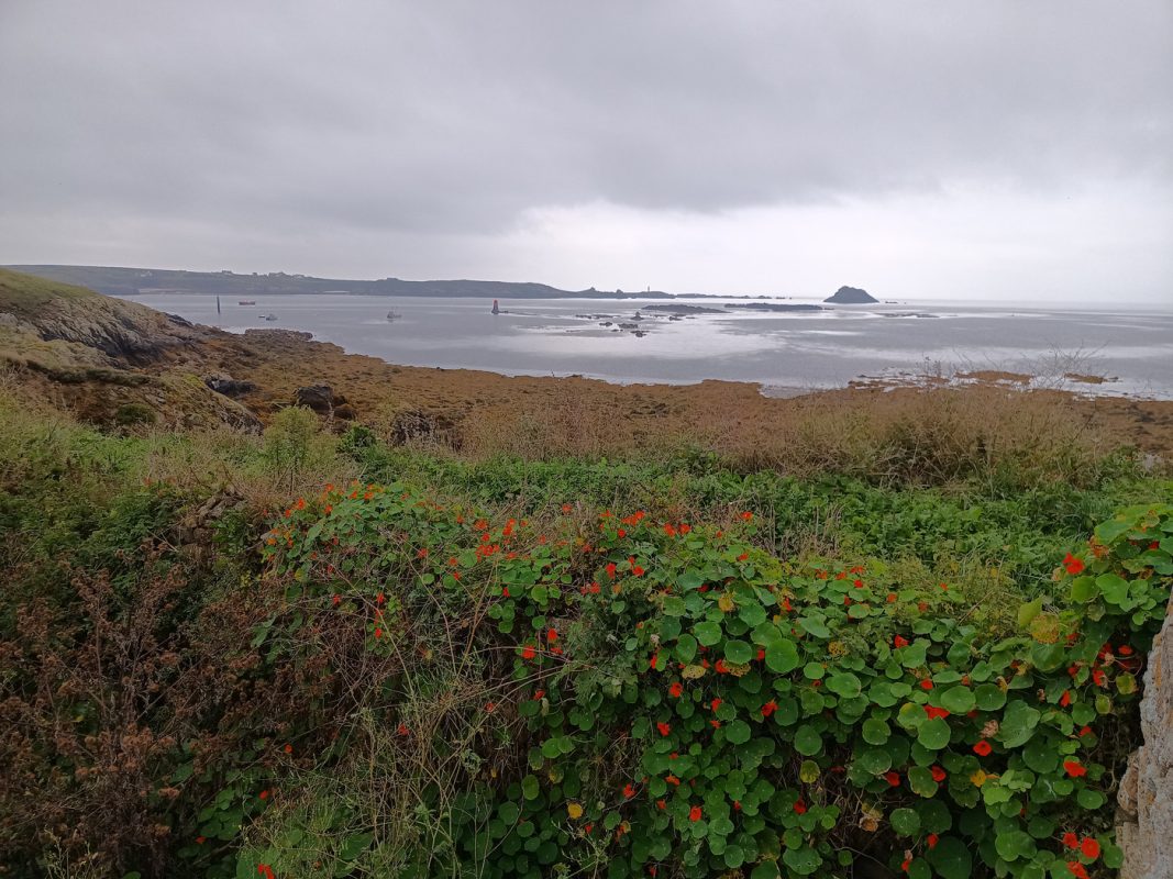 Ambiance aplatie après la brume et le vent