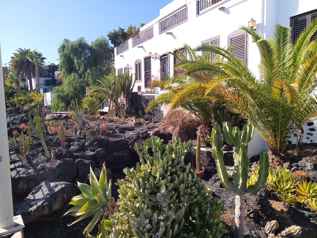 Jardin de cactus le long du port