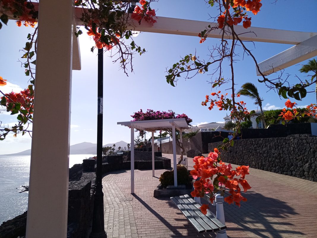 Des banc sous des tonnelle de bougainvilliers 