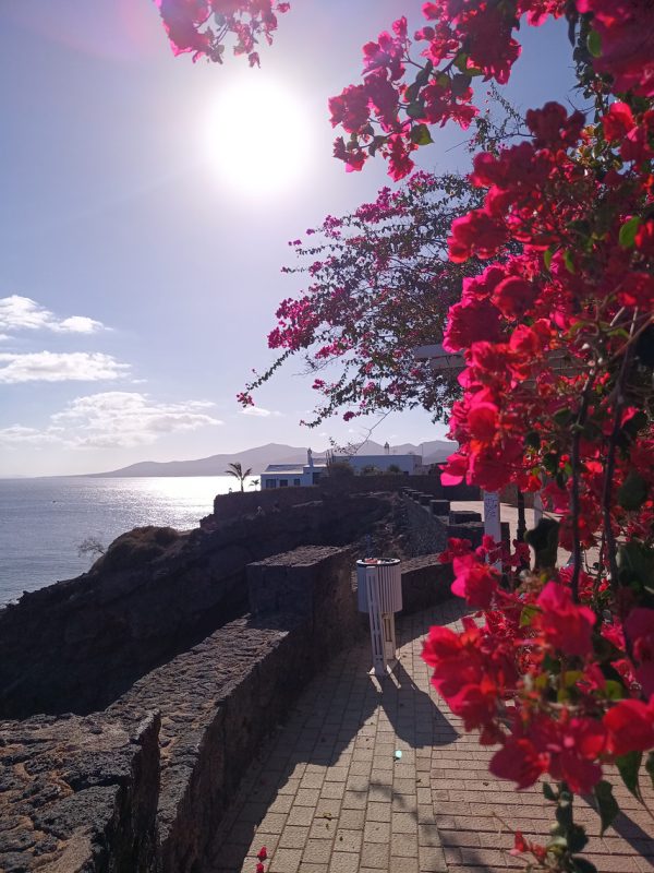 Bougainvilliers et falaises