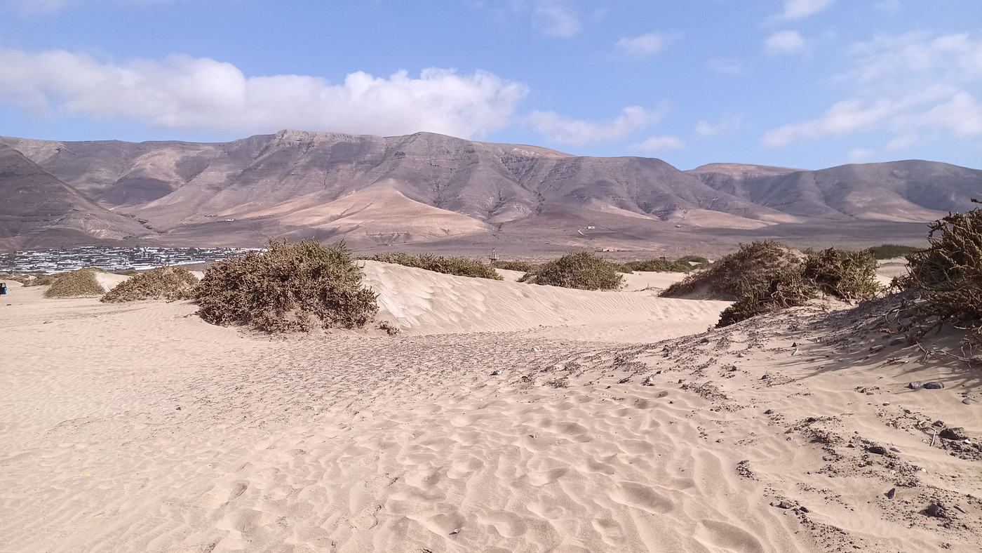 Avec des dunes en arrière plan