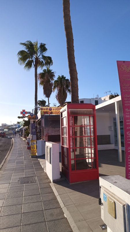 Palmier dans une cabine de téléphone