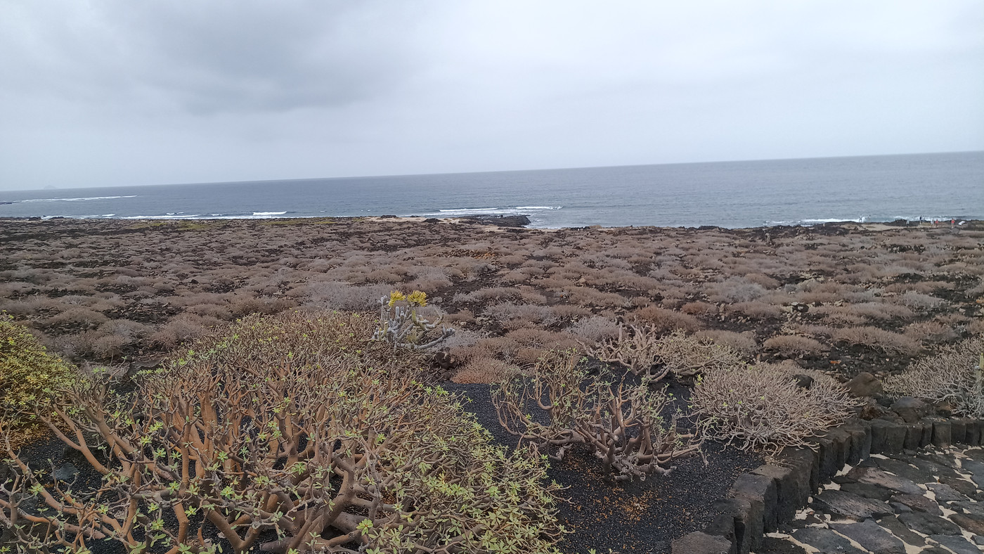 Vu depuis la Jameos del Aqua Taquui