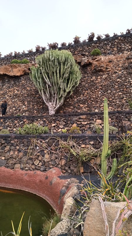 Le long du mur d'enceinte du jardin