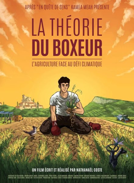 Affiche La théorie du Boxeur