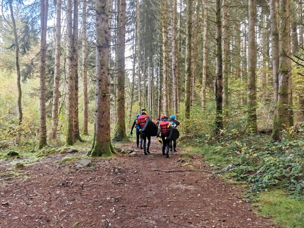 Jolie forêt du Morvan