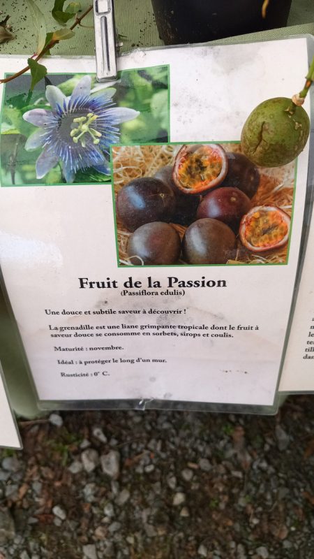 Fruit de la passion