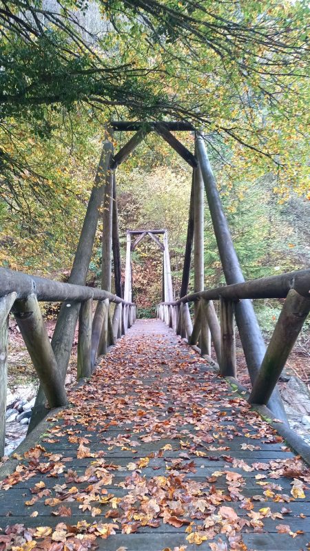 La passerelle