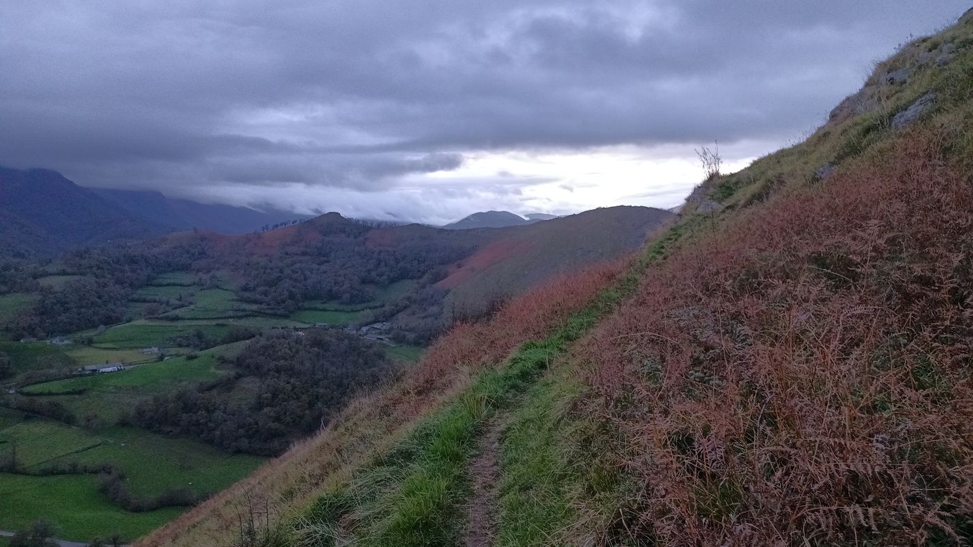 Le sentier monte parmi les herbes