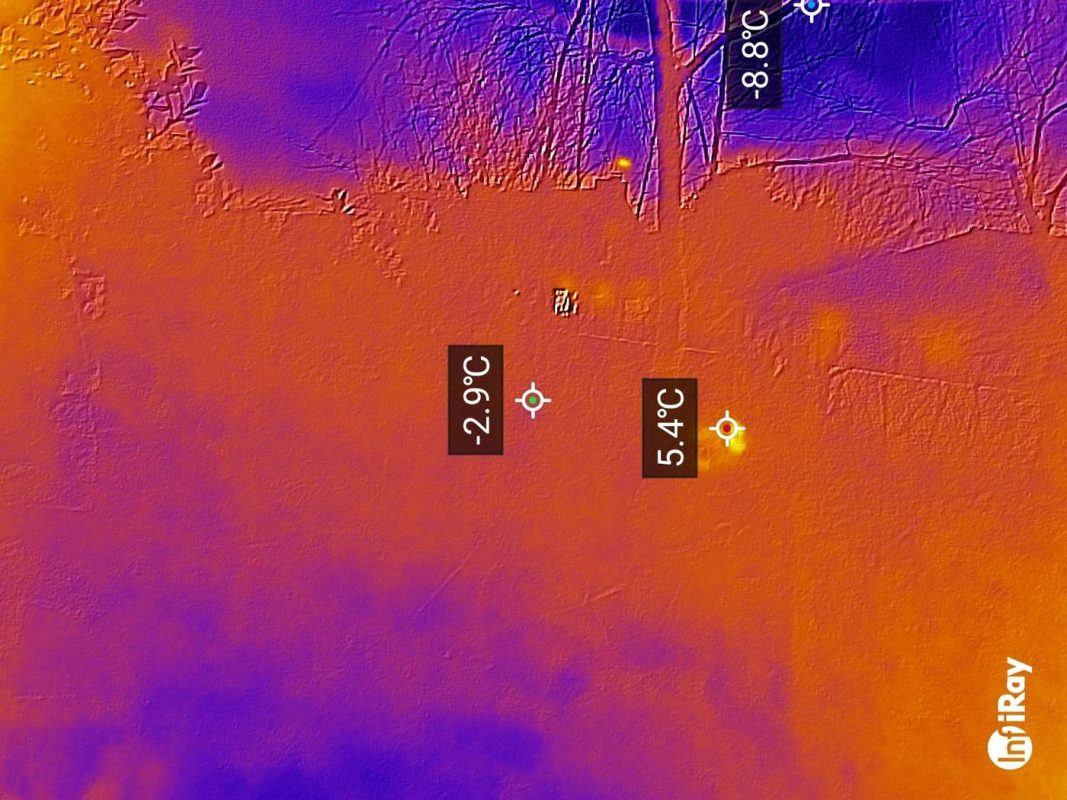 La poule à la caméra thermique