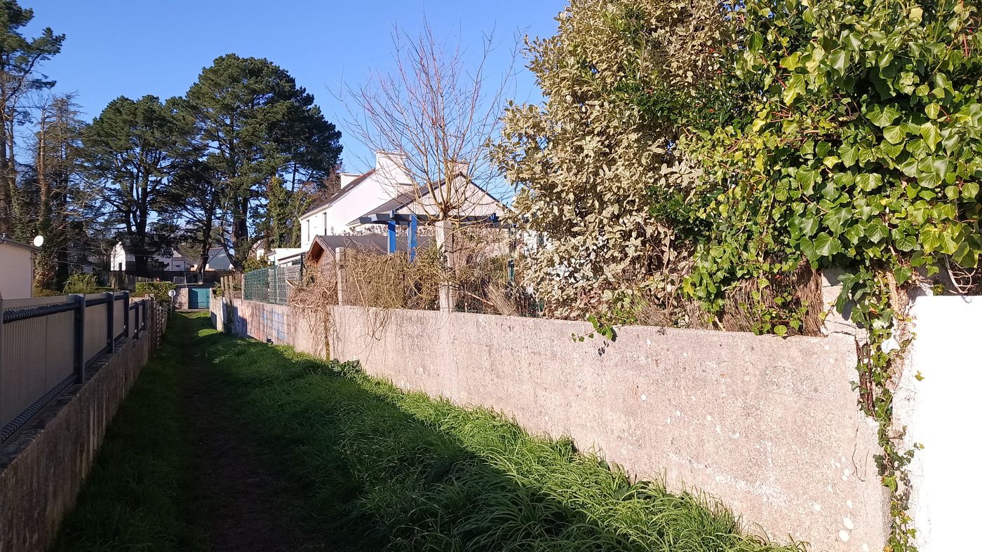 Le mur de clôture exposé au soleil même le 16 janvier