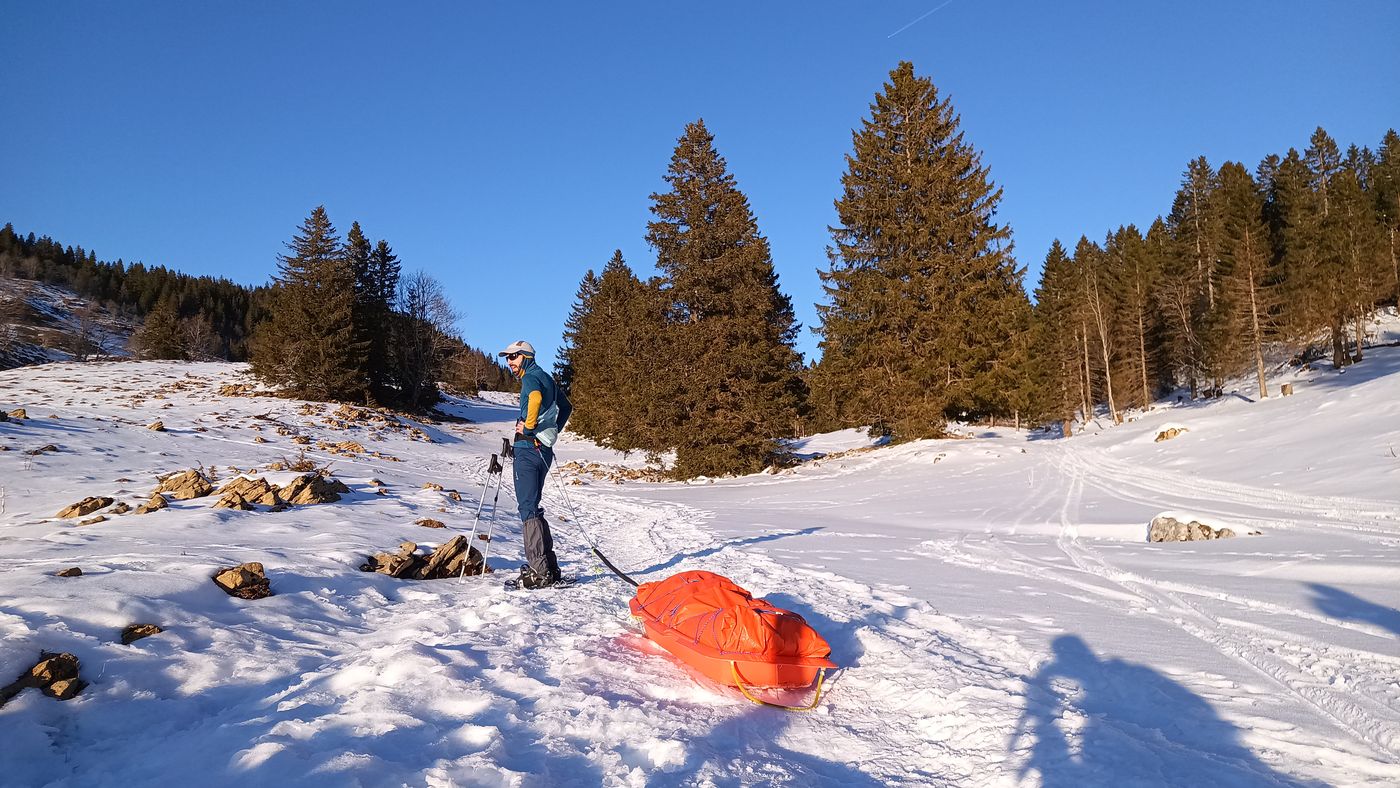 On rentre dans la forêt
