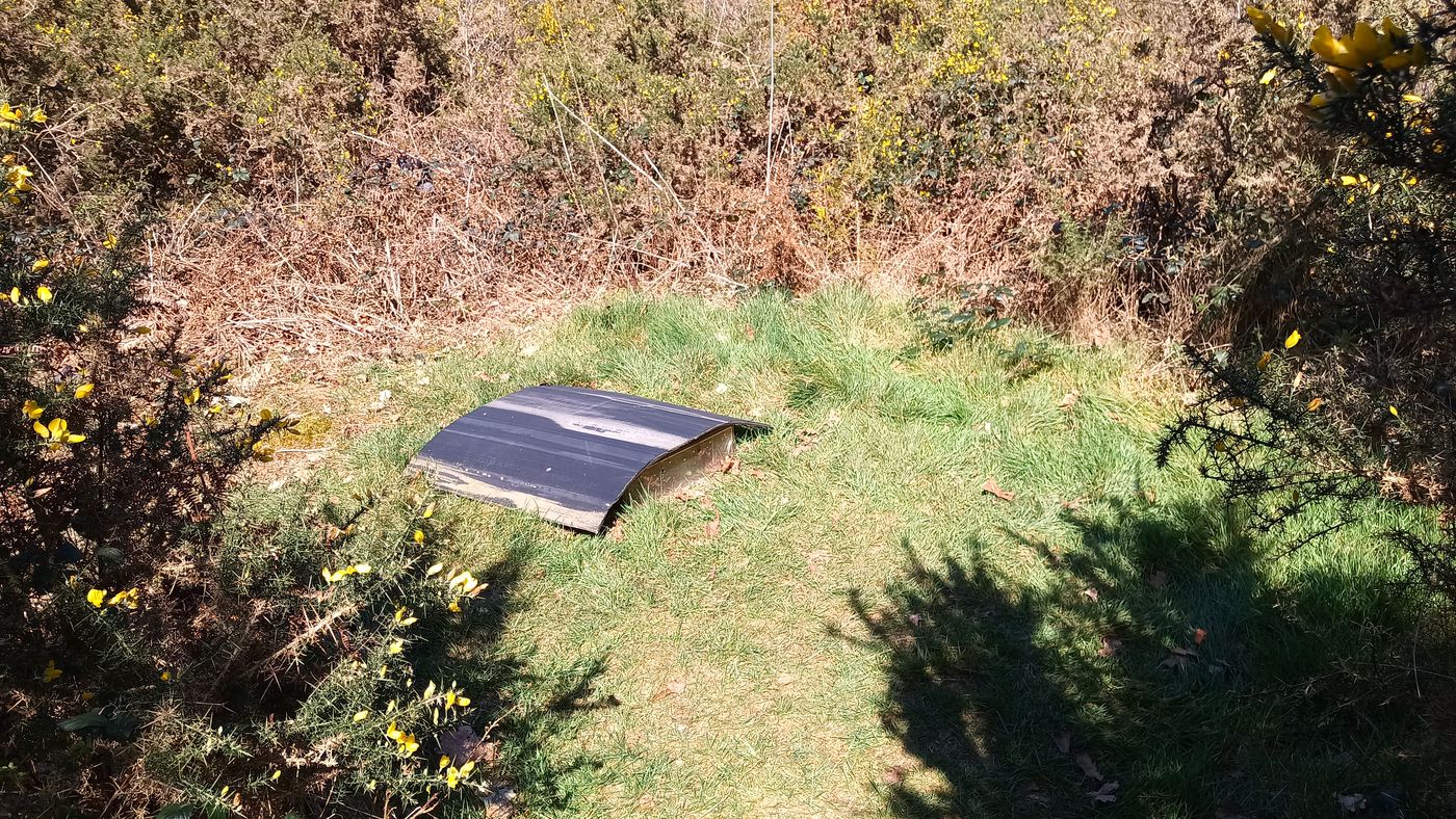 Tiens, c'est quoi ? Un emplacement pour ruche ? Ouvrons pour voir 