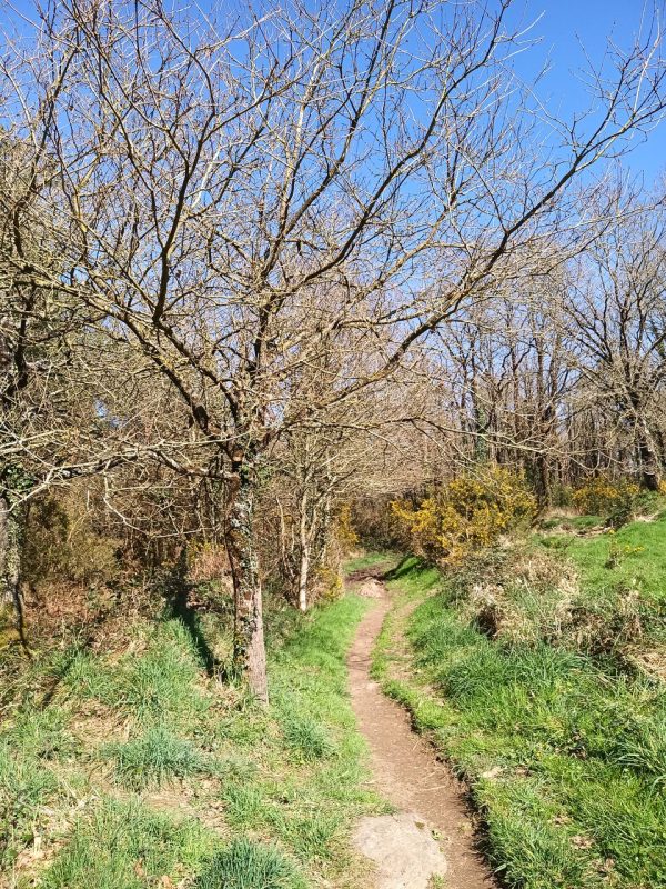...au printemps...