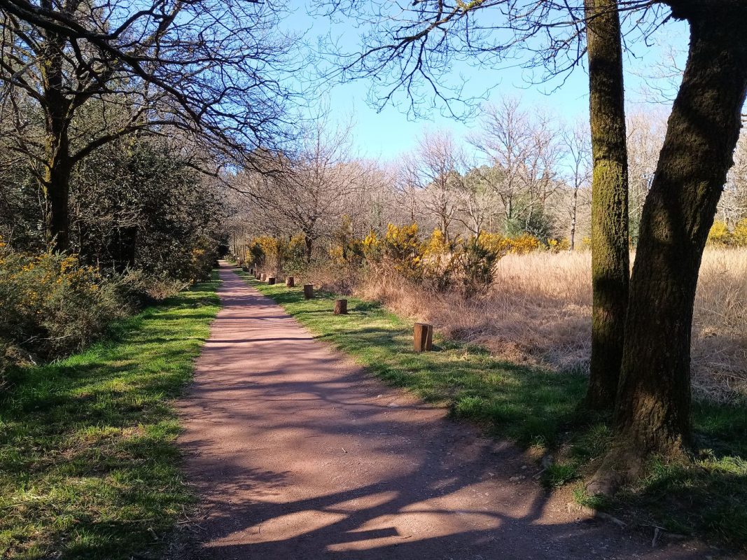 Tiens, pourquoi on arrive sur un sentier bien propre avec des petit plots en bois ?