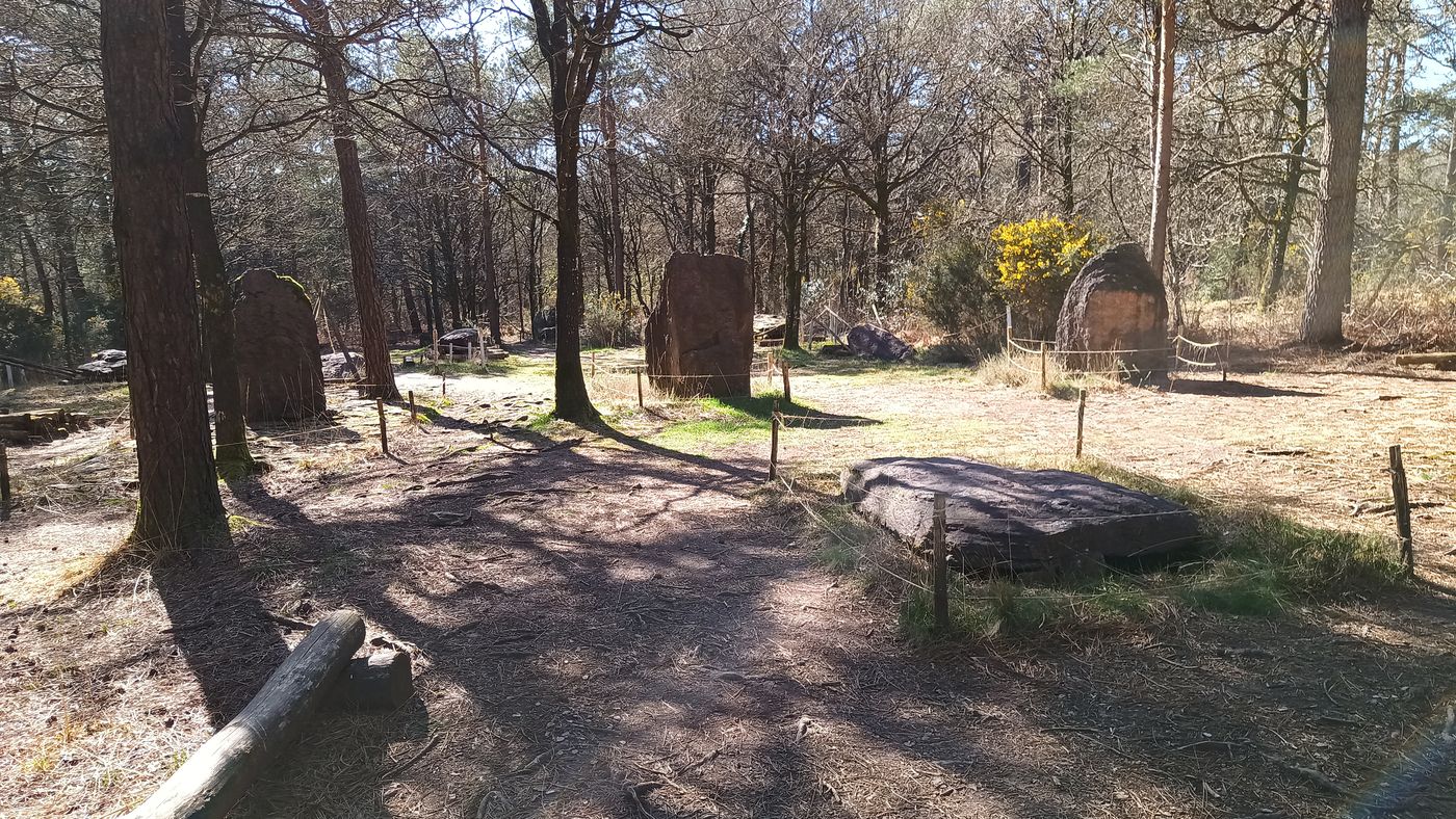 Les premières pierres, au milieu des bois