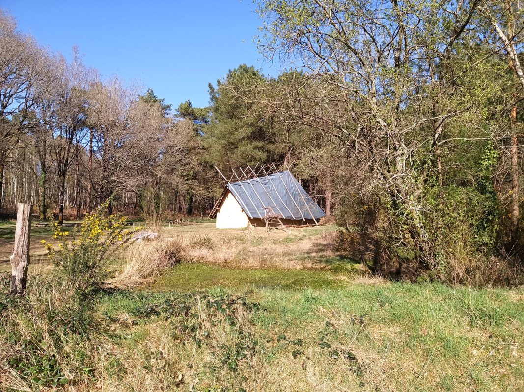 Reconstitution d'habitat