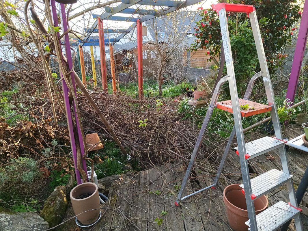 Le tas de branche en plus a broyer, encore !