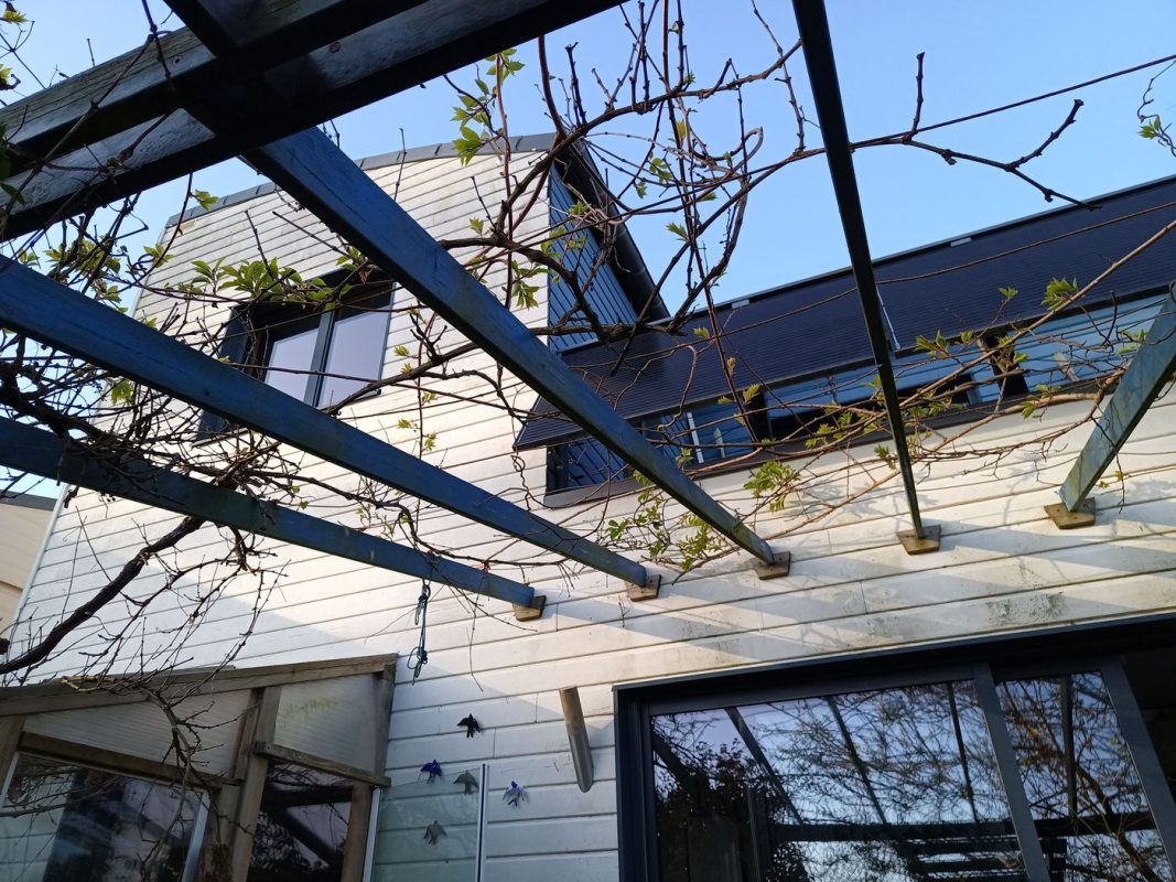 La pergola dégagé