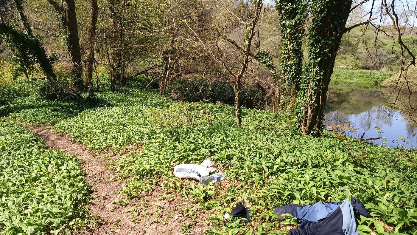 Pause pique-nique au milieu de l'ail des ours