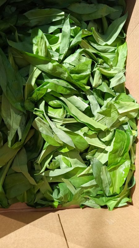 Les feuilles une fois lavé et séché