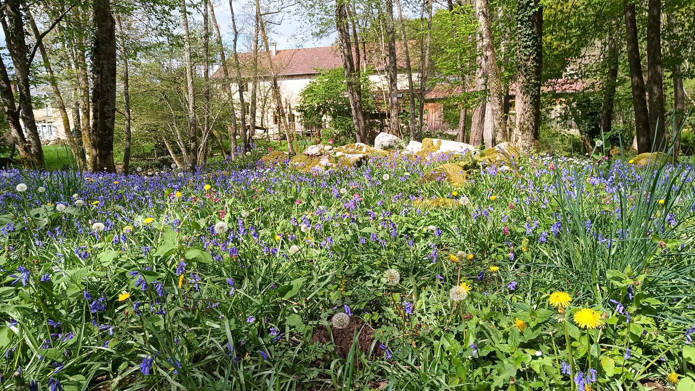 Tapis de fleurs