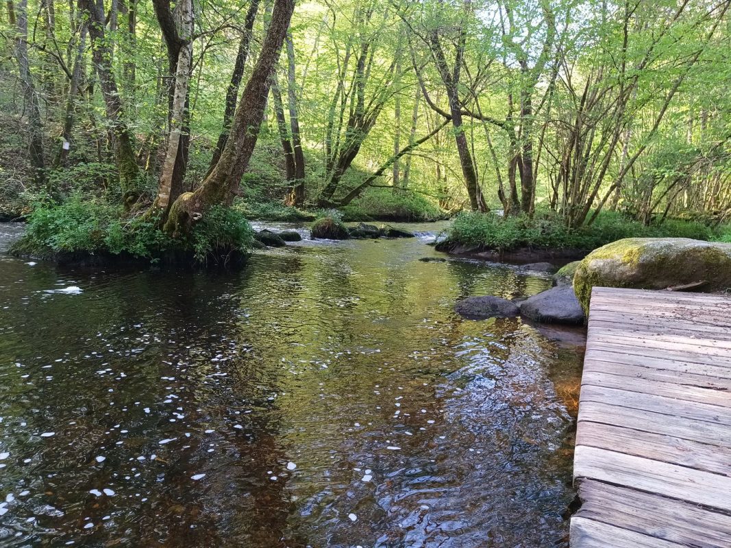 Ponton de mise à l'eau au départ