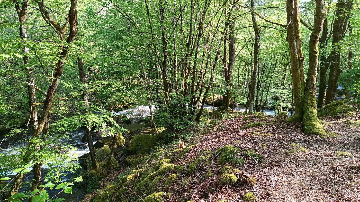 La virage de la plaque à billes vu du haut