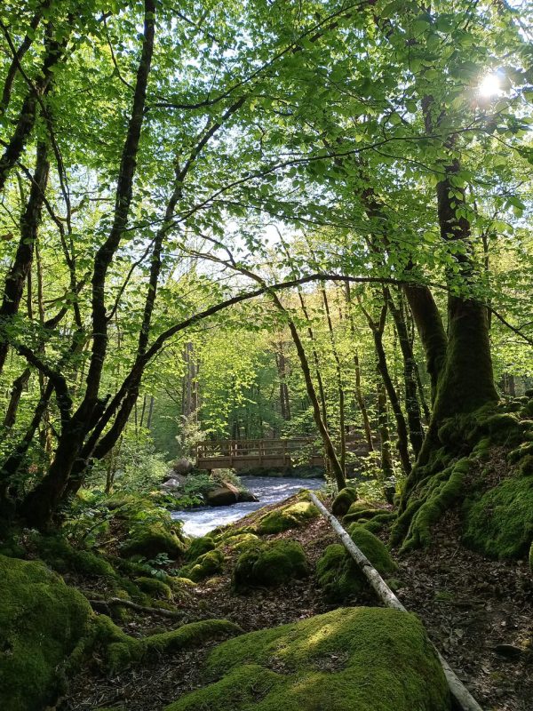 Le long du parcours