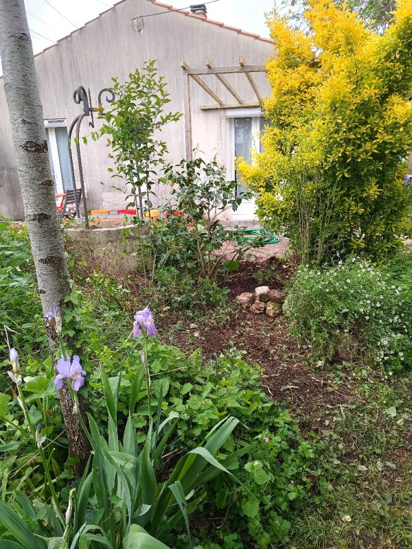 Le jardin