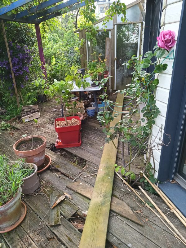 Les plantes rassemblé pour que mon voisin puisse les arroser.