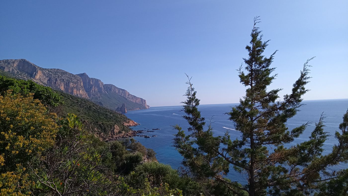 Réponse 15 minutes après : C'est cette aiguille au loin !