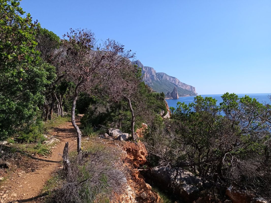 Sentier en bord de mer bleu, sous les arbres, objectif bien visible... Parfait !