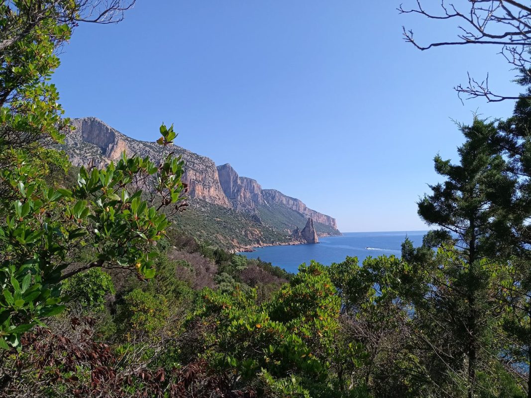 On a toujours des vues entre les arbres