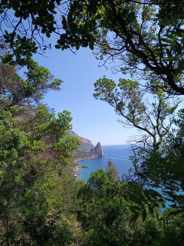 On a toujours des vues entre les arbres