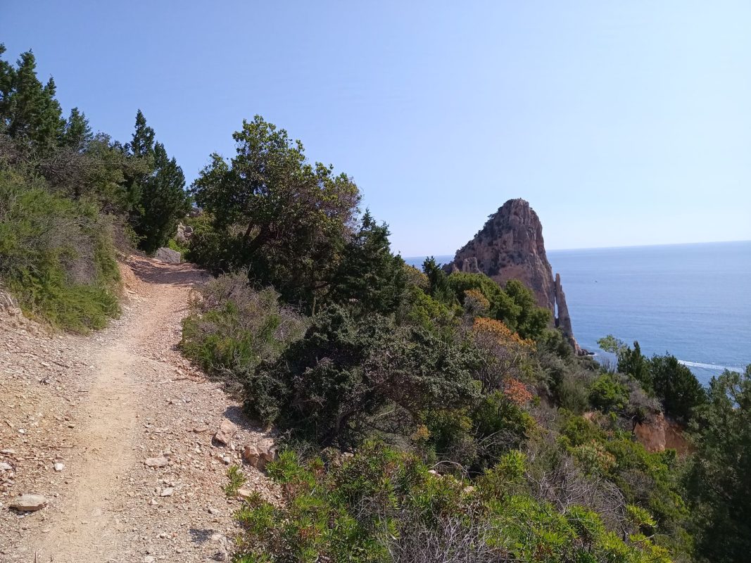Le sentier très 'plat'