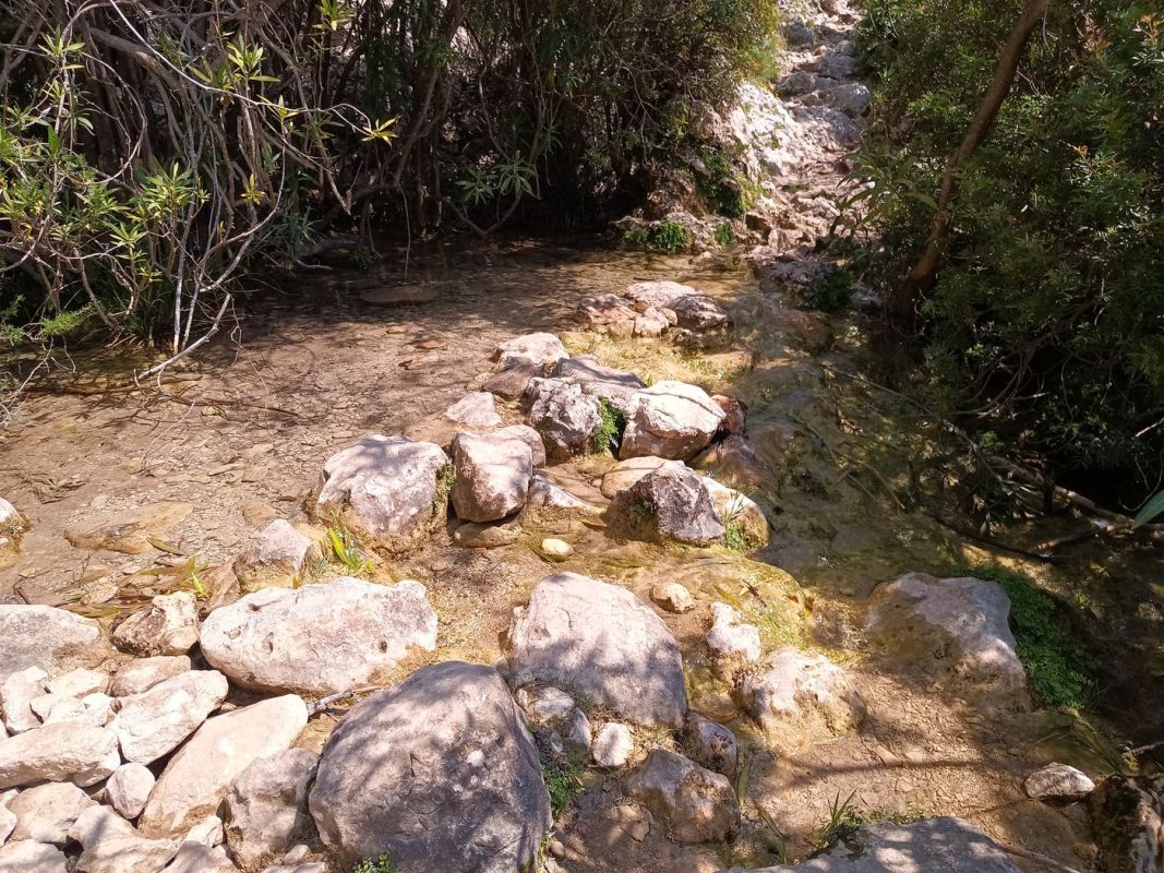 Un ruisseau traverse le sentier