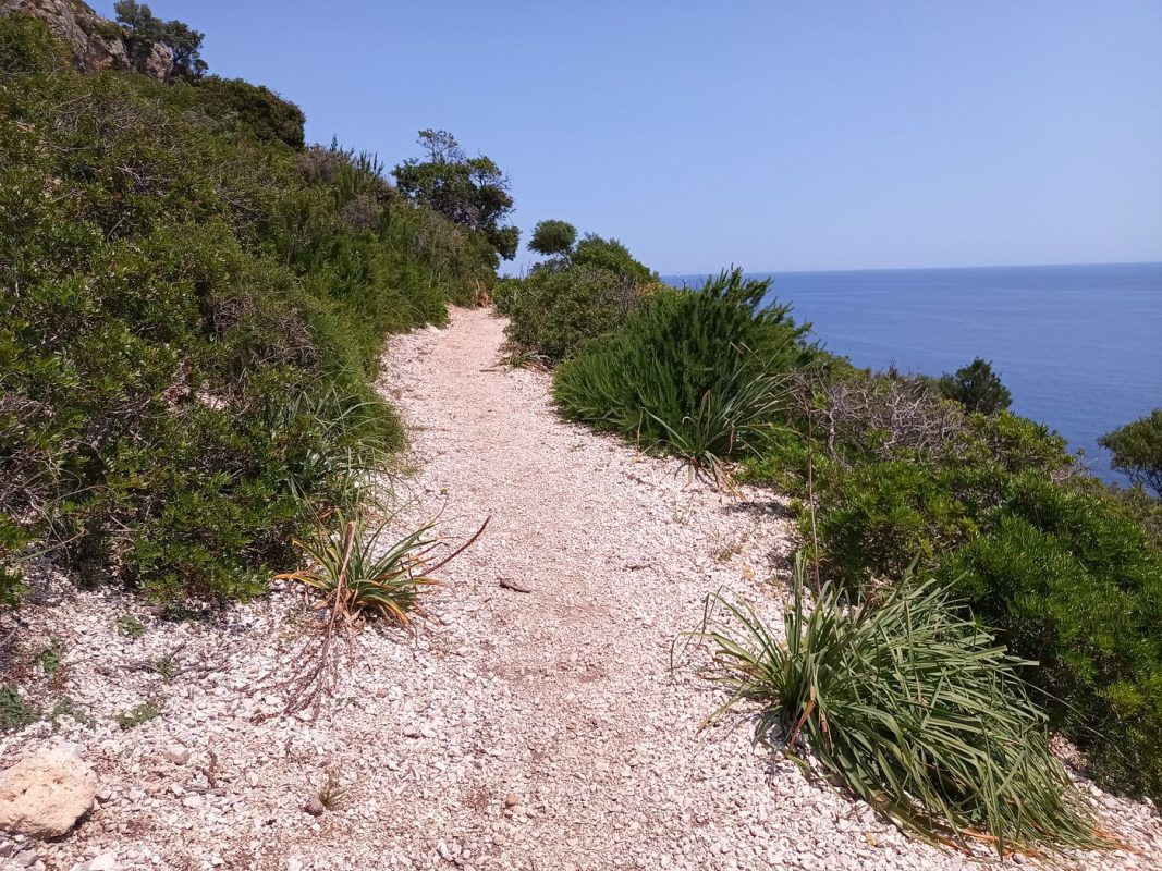 Le sentier est très net !
