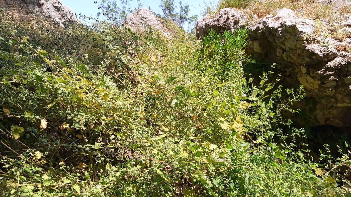 Et je passe où moi ? Le sentier est là !