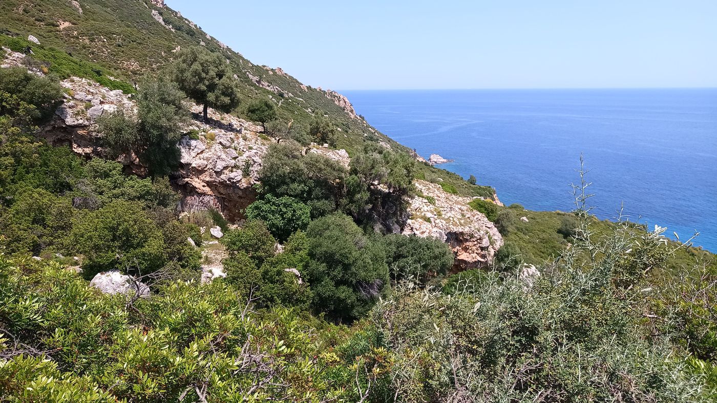 Vu de loin, on voit bien la strate de roche qui permet les grottes et les habitations troglodytes.