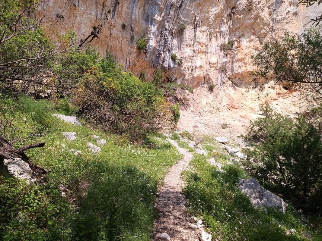 Les abord du sentier sont plus vert !