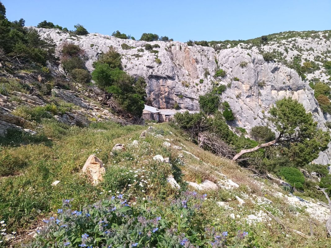 Une habitation entretenu au sommet