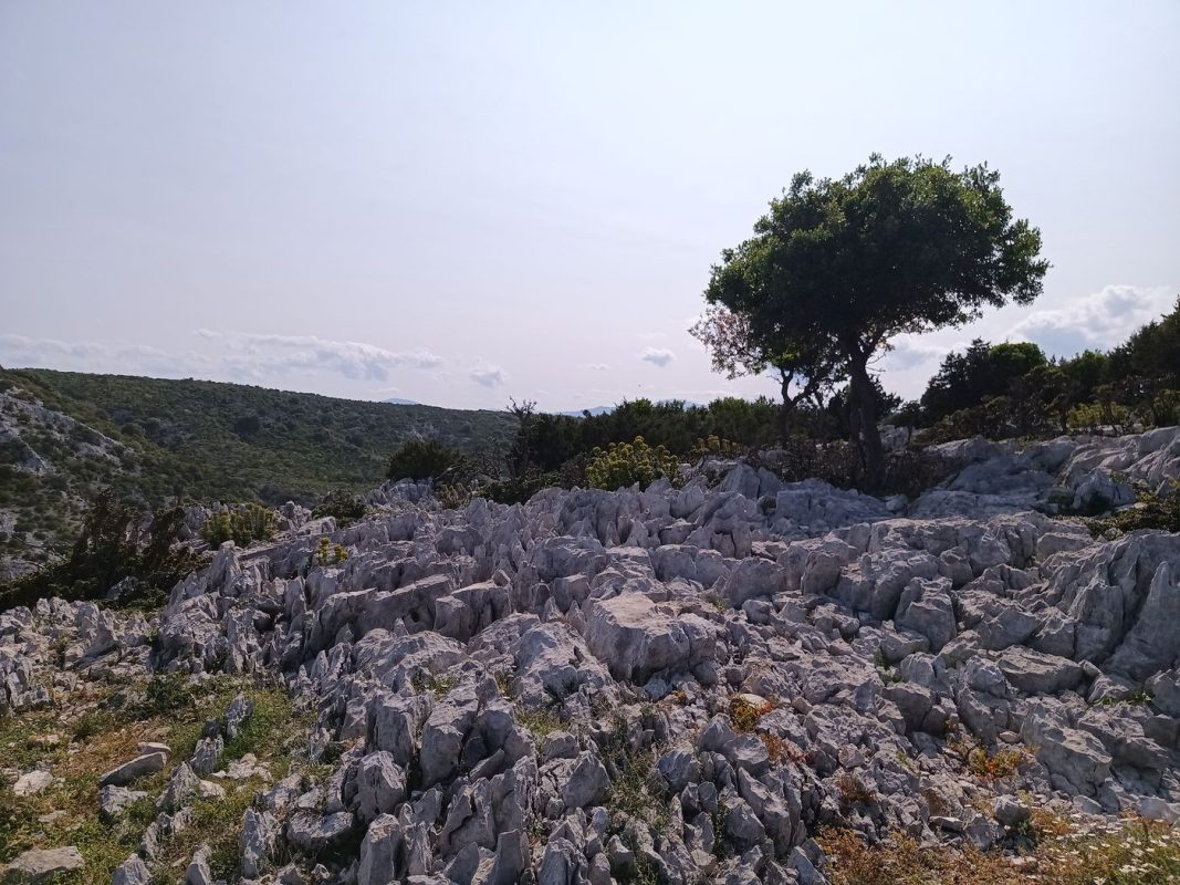 On se croirais au coucher de soleil, mais il n'est que 16h17