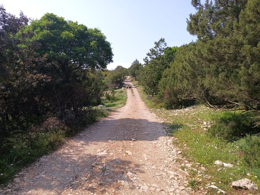 Ca change une route comme ça !