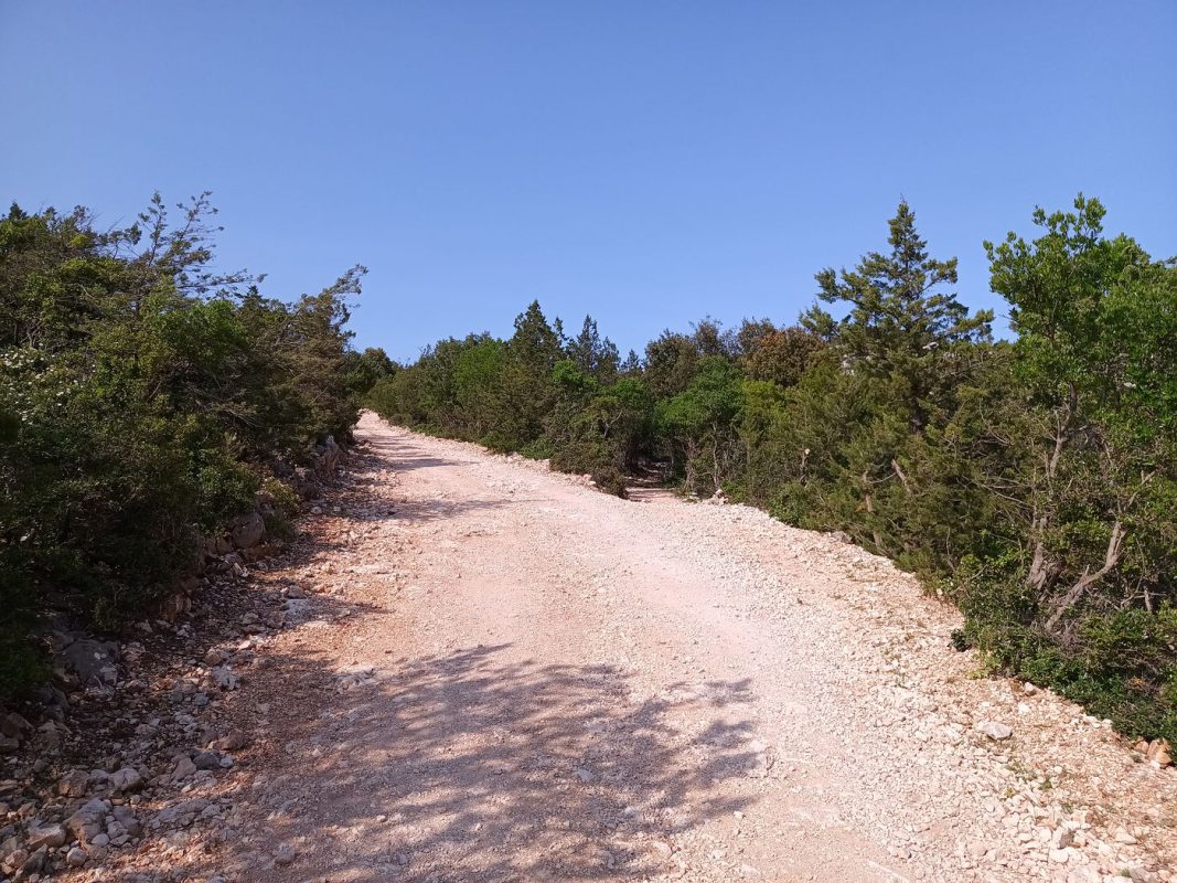 Là j'ai pris le petit sentier à droite, j'aurais peut être pas du !