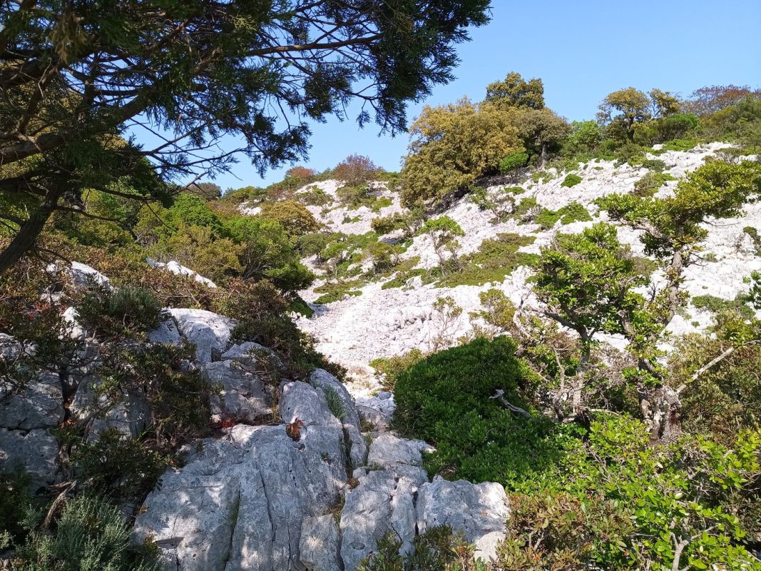 Le sentier est de moins en moins net !