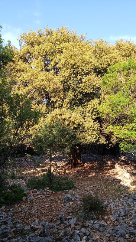 2h après, la sortie de ce 'désert'