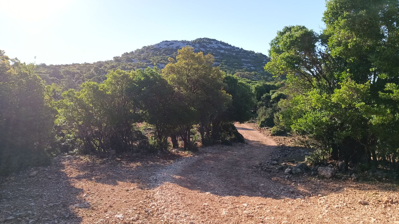 Après tous ces non-chemins d'hier soir, un chemin carossable
